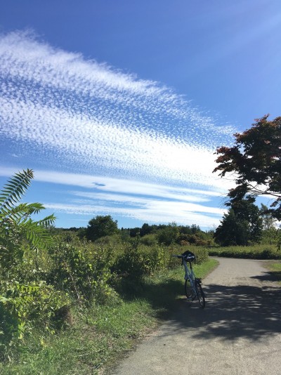 いわし雲